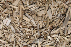 biomass boilers Finvoy